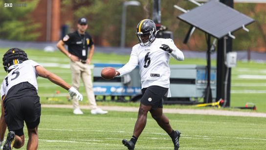 Report: Steelers Sign Competition for Pressley Harvin III (Braden Mann)
